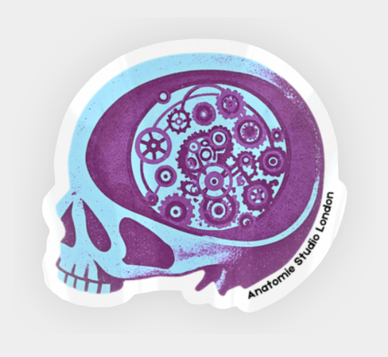 Sticker Pack – Anatomie Studio x Shibari Store Art (Set of 10)