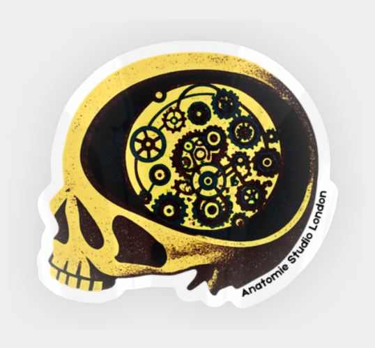 Sticker Pack – Anatomie Studio x Shibari Store Art (Set of 10)